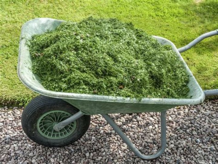 Are lawn clippings good mulch?