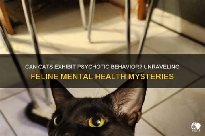 Can animals be psychotic?