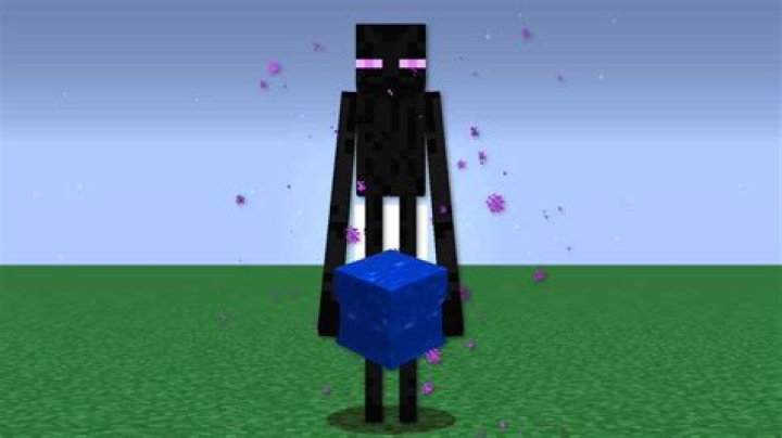 Can enderman pick up podzol?