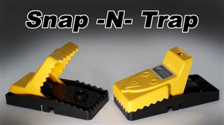 Can mice escape snap traps?