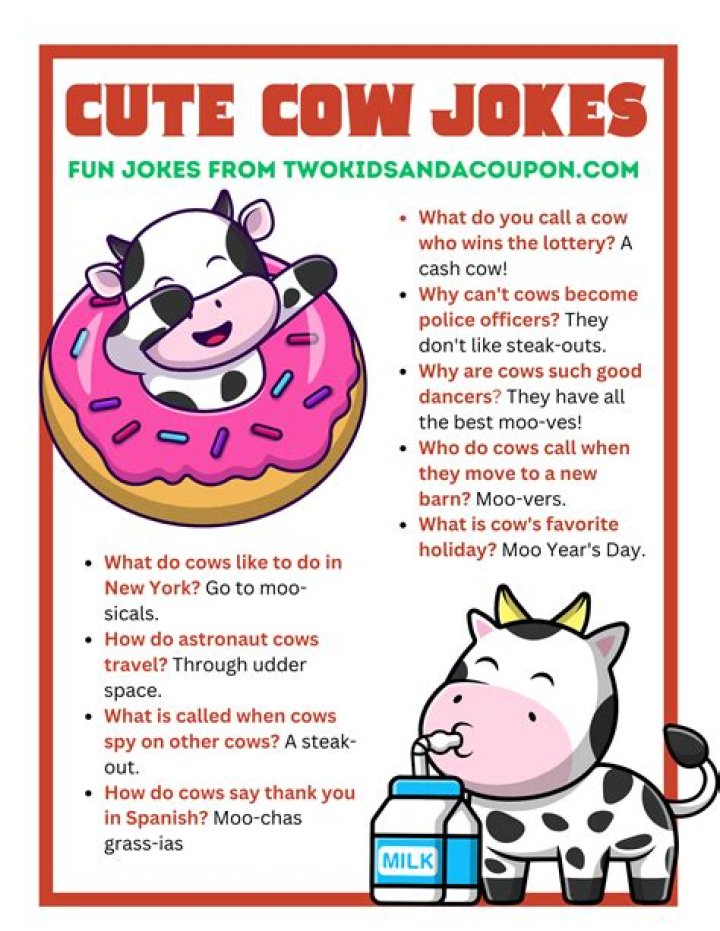 Do cows like to be talked to?