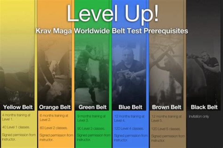 Does Krav Maga have ranks?