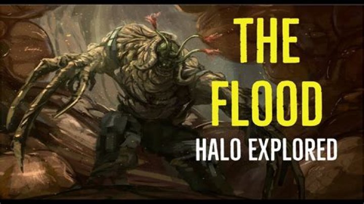 How did the flood survive Halo?