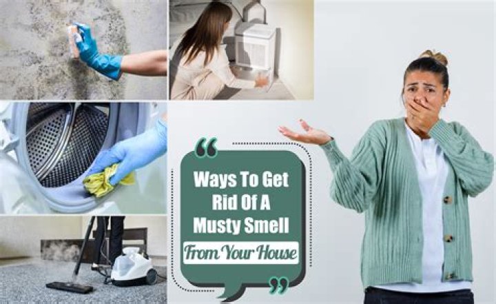 How do you get rid of smell in air?