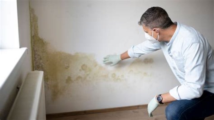 How do you treat moisture in walls?