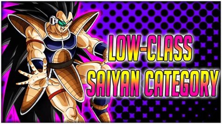 Is Raditz a low class Saiyan?