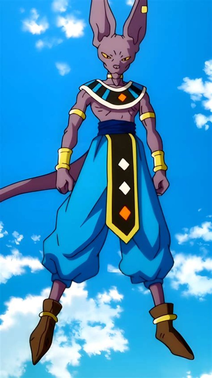Was Beerus born a god?
