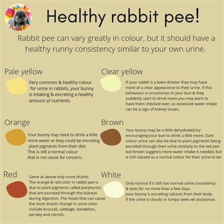 What color should bunny Pee be?