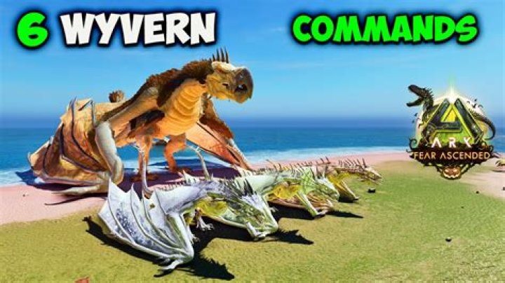 What do baby fire Wyverns eat?