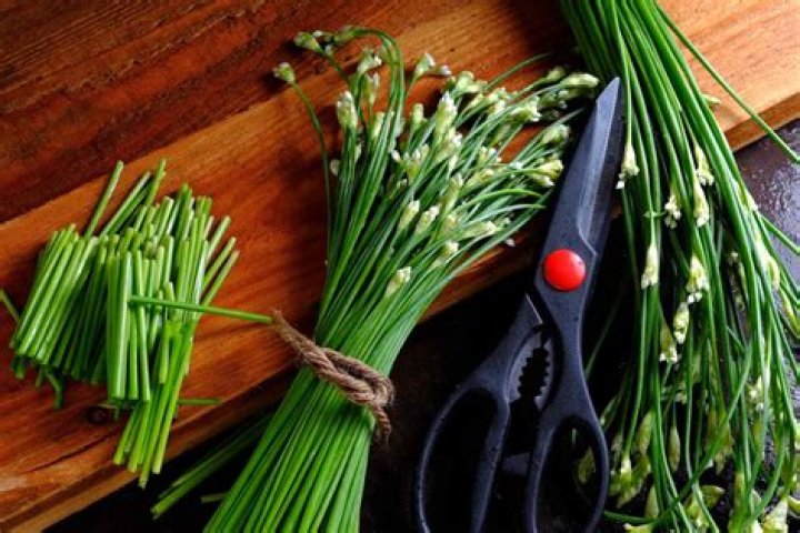 What does fresh chives look like?