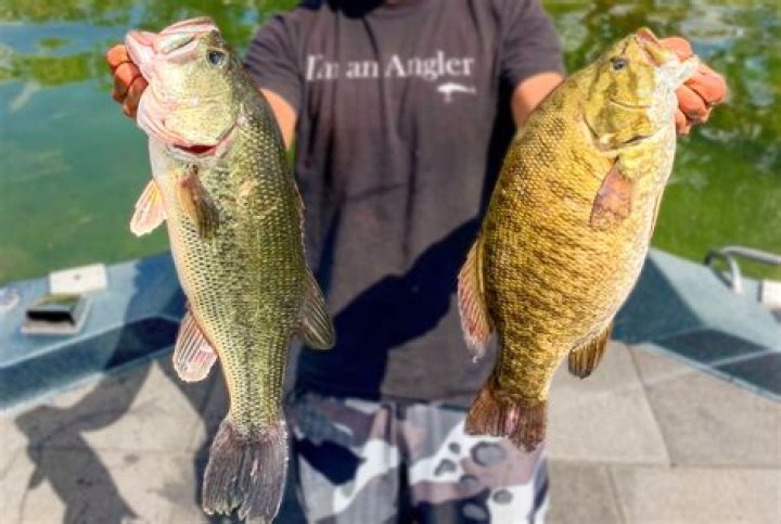 What is best for bass fishing?