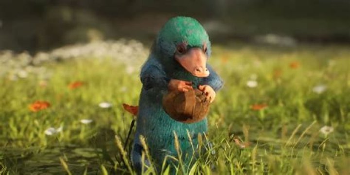 What is newts Nifflers name?