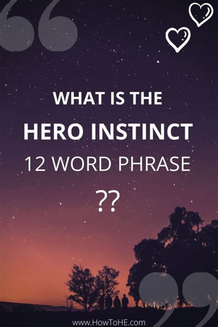 What is the 12-word phrase hero instinct?