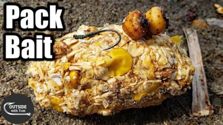What is the best homemade fishing bait?