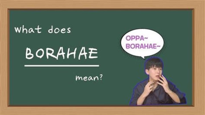 What is the meaning of Borahae?