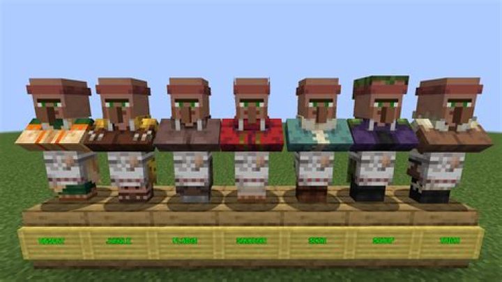 What is the rarest Villager job in Minecraft?