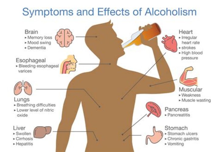 Which alcohol is best for brain?