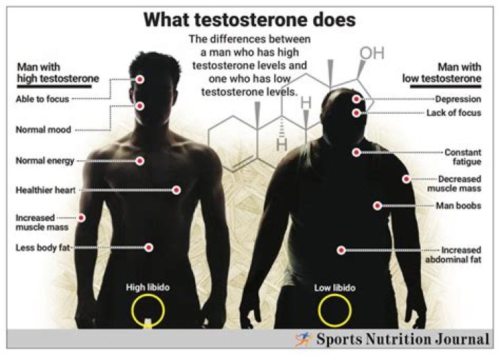 Which exercise produces the most testosterone?