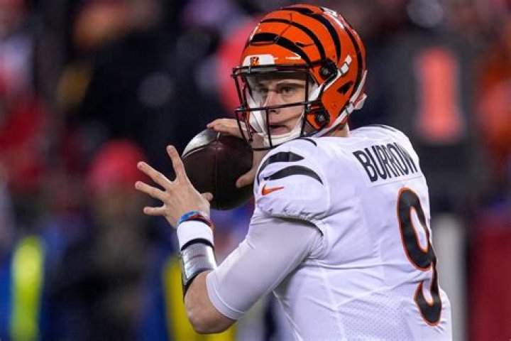 Who were all the Bengals quarterbacks?