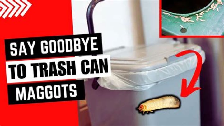 Why are there maggots in my bathtub?