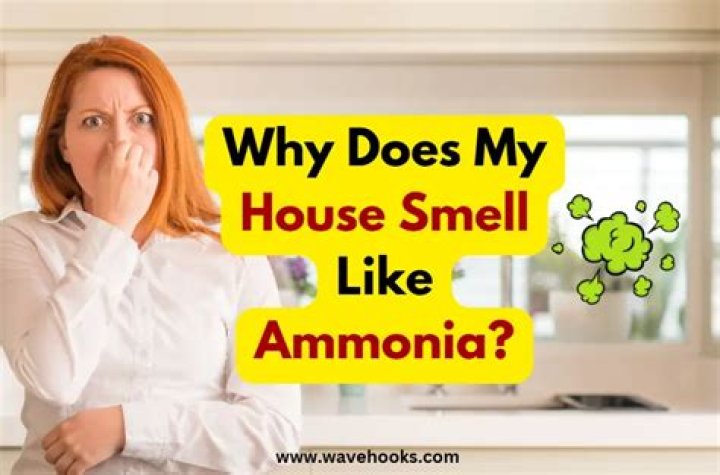 Why does my bed smell like ammonia?